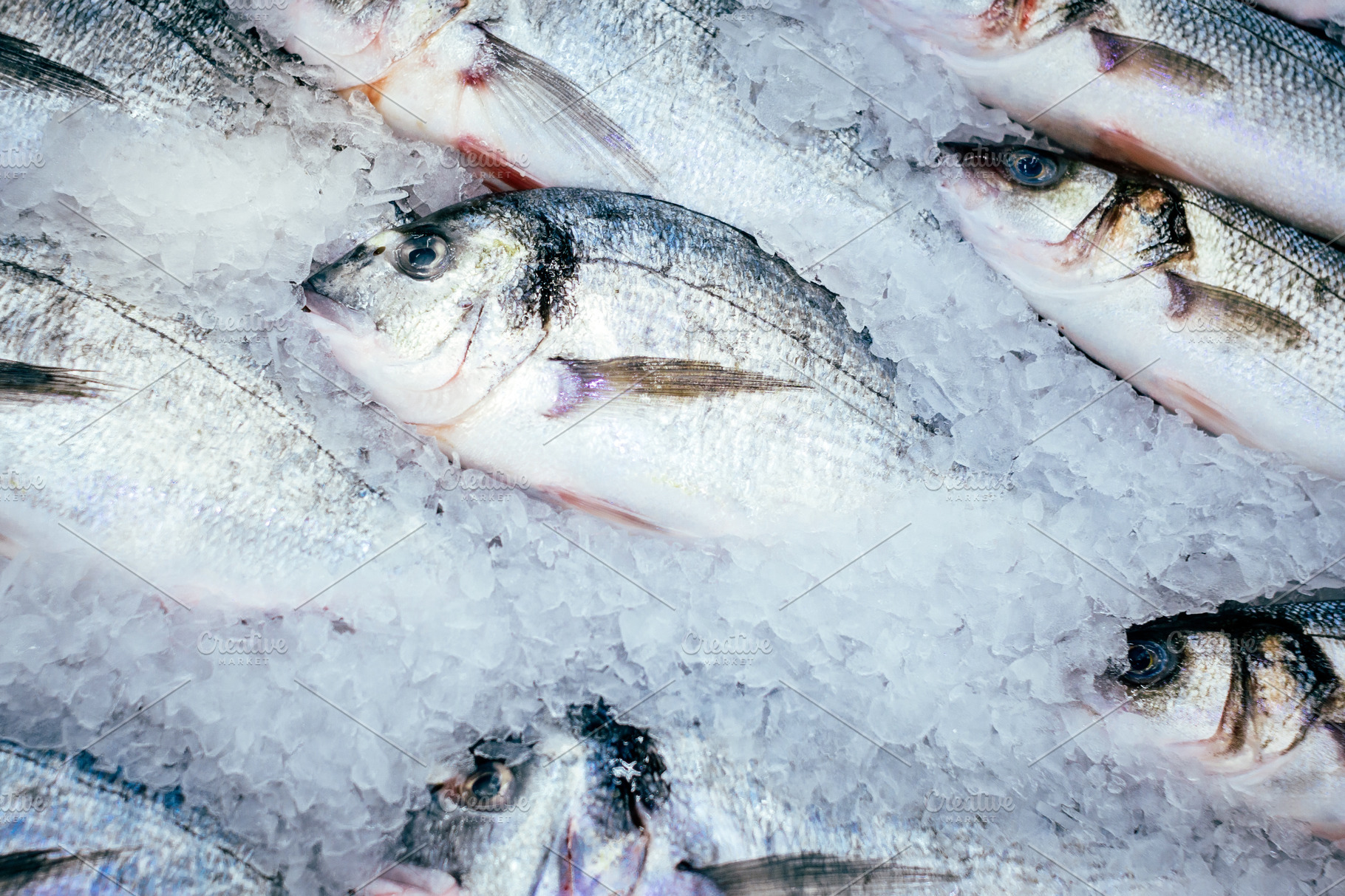 Dorado Fish On Ice Fresh Frozen Fish High Quality Food Images Creative Market