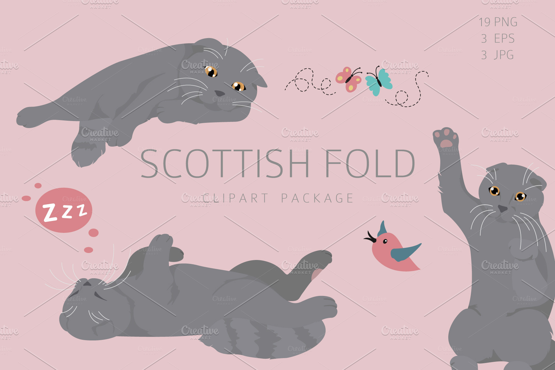 Download Scottish fold clipart | Pre-Designed Photoshop Graphics ~ Creative Market