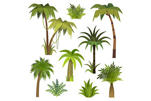 Tropical background California | Pre-Designed Illustrator Graphics