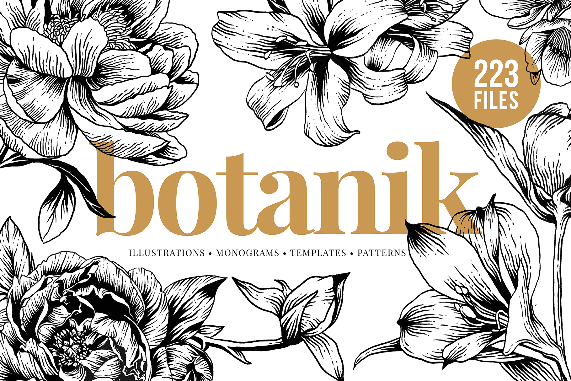 Download Botanical Illustration Bundle Pre Designed Photoshop Graphics Creative Market