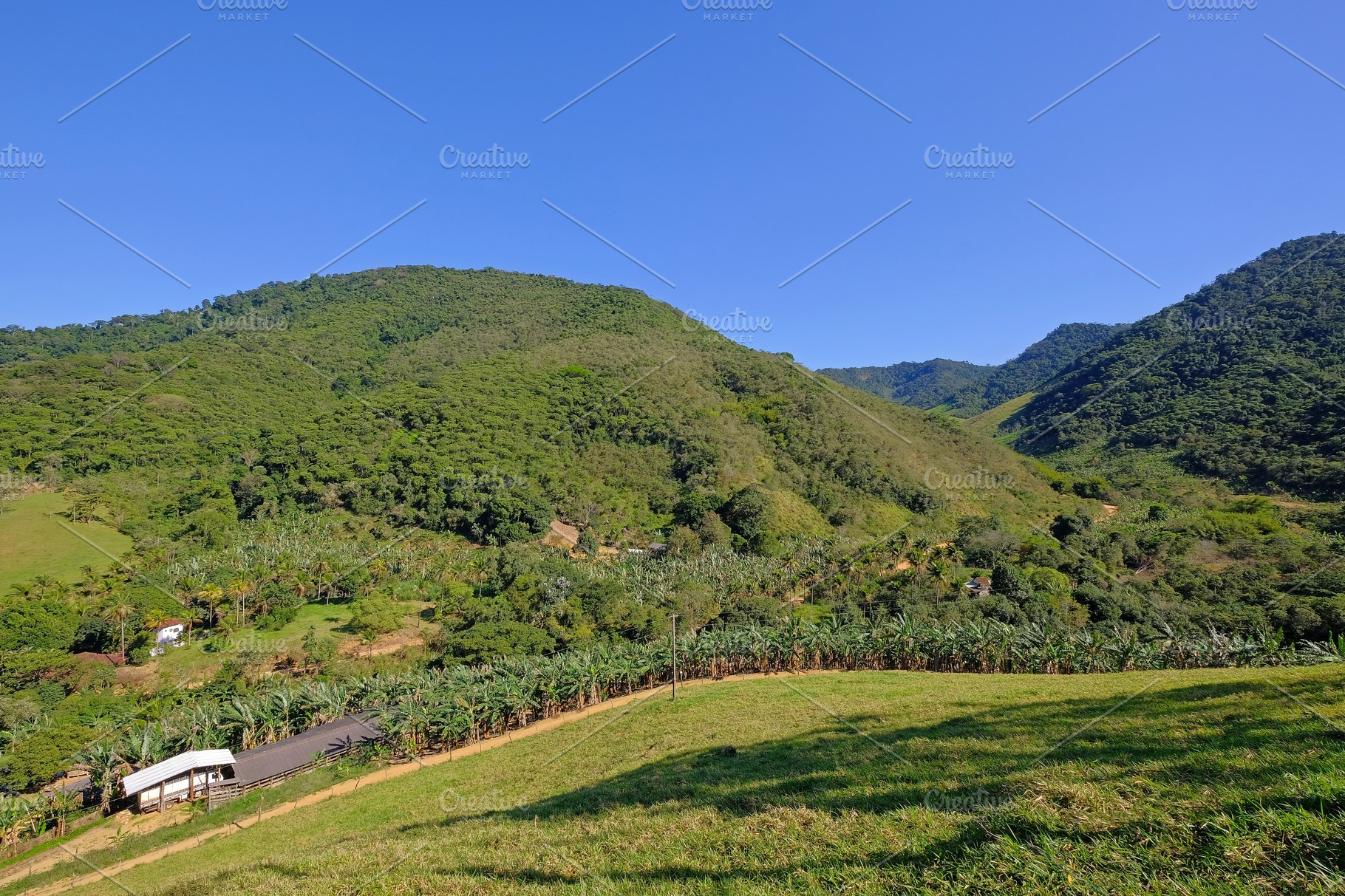 Typical landscape  of brazilian High Quality Nature Stock 