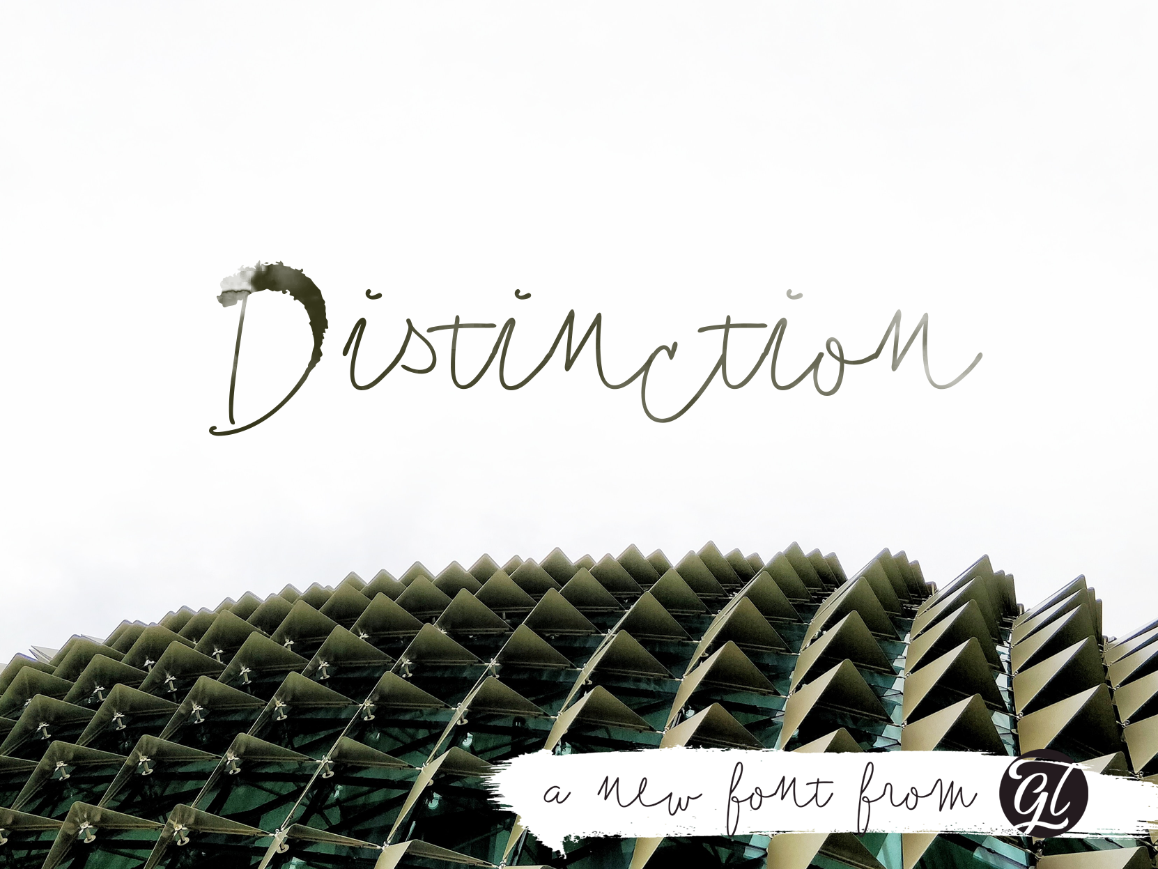 distinction-stunning-script-fonts-creative-market