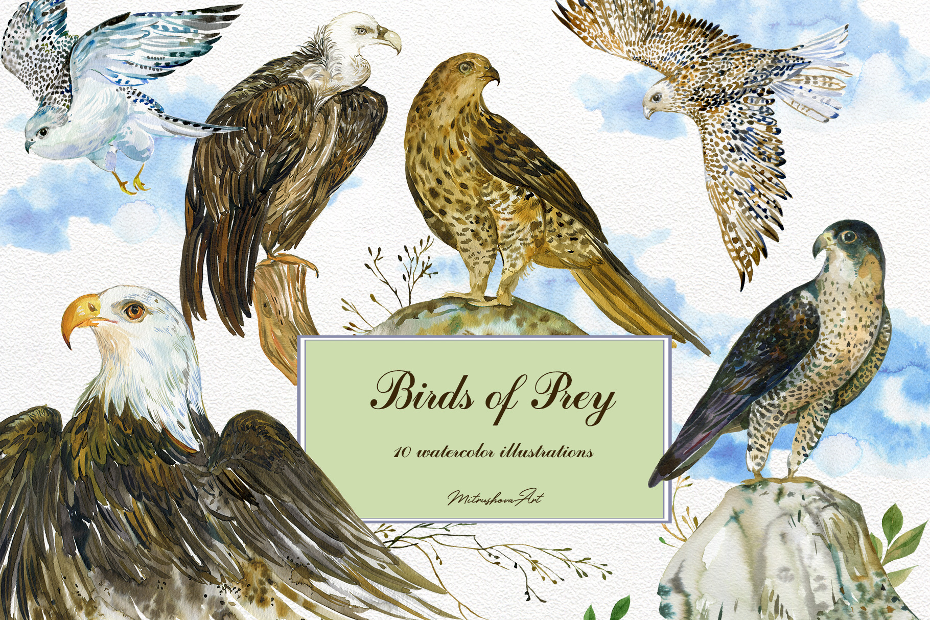 Bird of Prey . Watercolor | Pre-Designed Photoshop Graphics ~ Creative