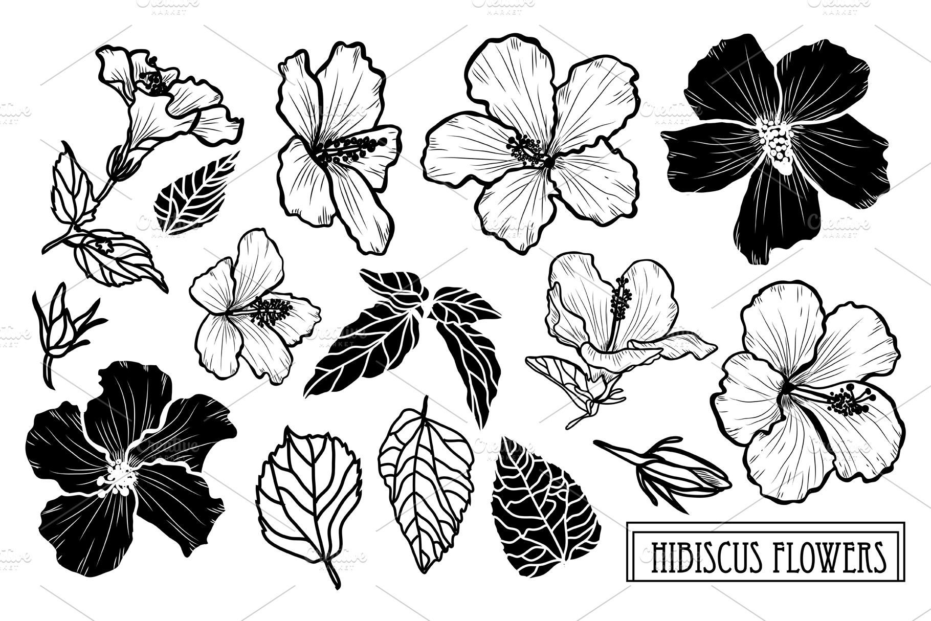 Hibiscus Flowers Set | Pre-Designed Photoshop Graphics ~ Creative Market