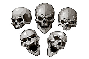 Skull Designs (Vector) | Pre-Designed Illustrator Graphics ~ Creative