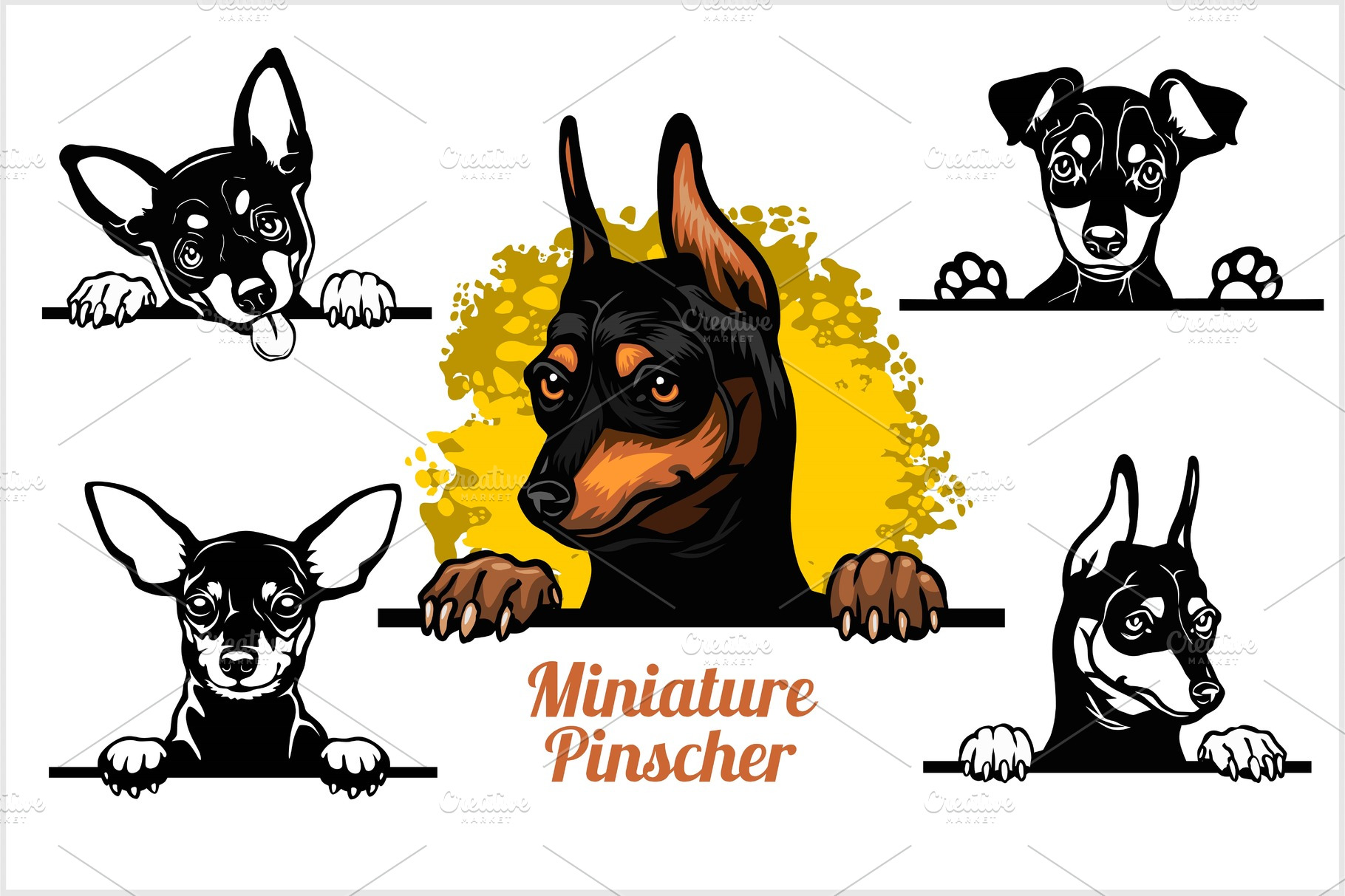 Miniature Pinscher - peeking dogs | Vector Graphics ~ Creative Market