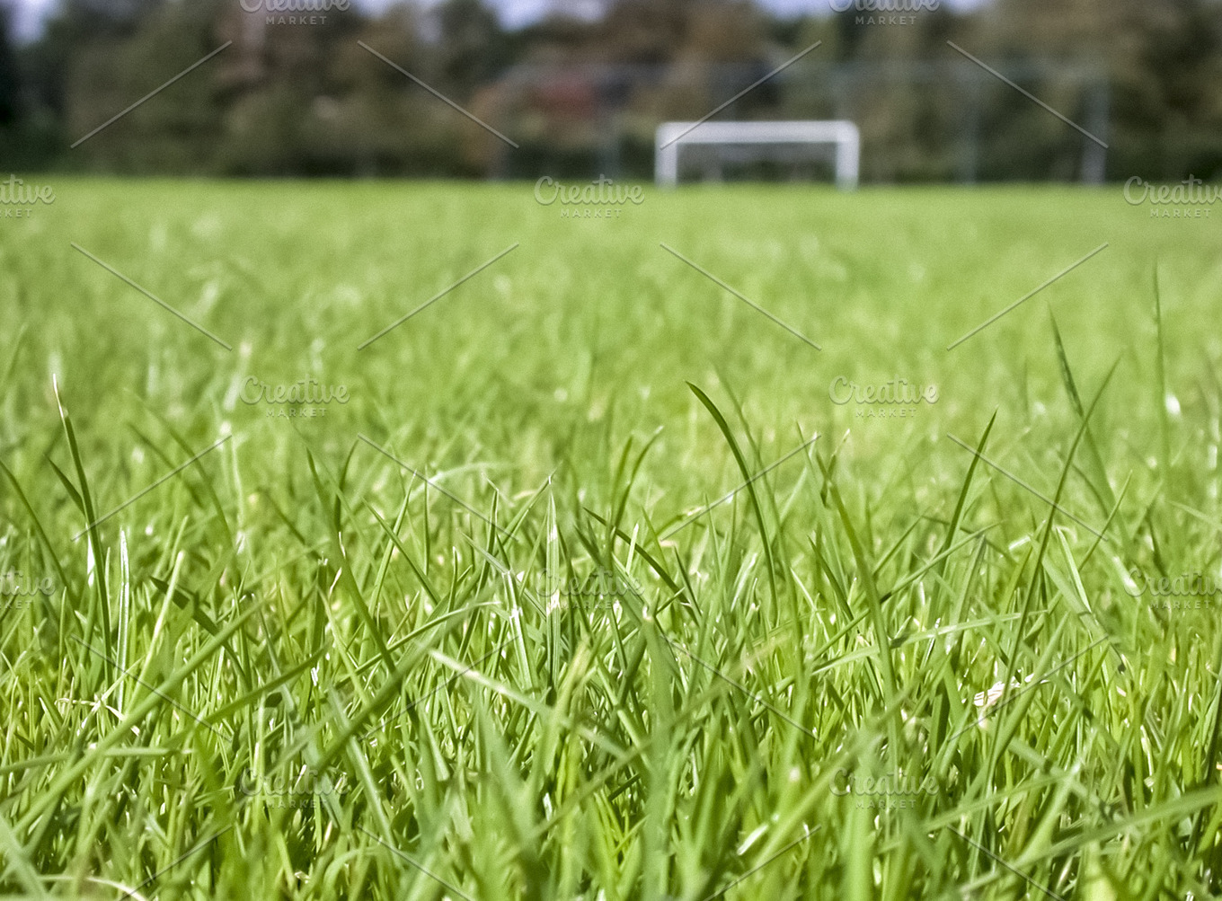 soccer-field-containing-soccer-depth-of-field-and-grass-sports