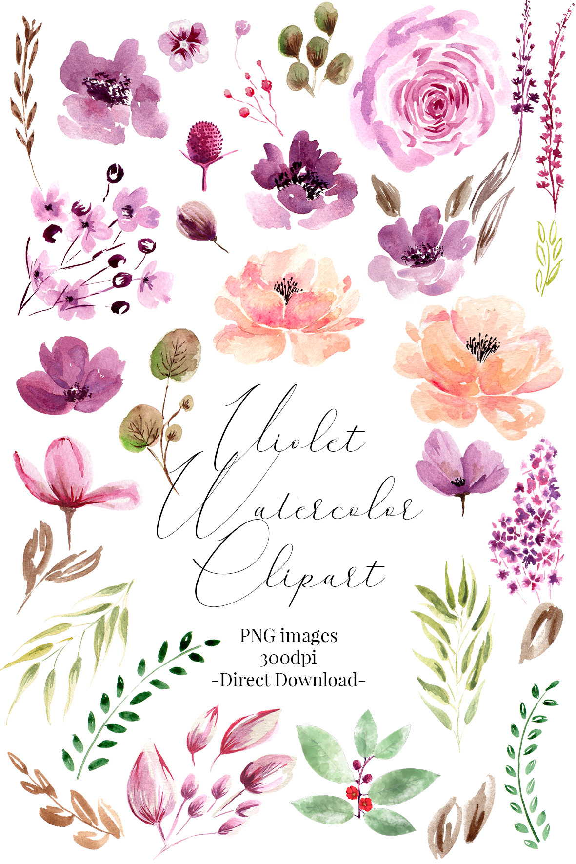 Violet Watercolor Clipart elements | Illustrations ~ Creative Market