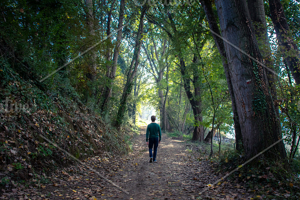 Lonely Man Walking On An Enchanted F Containing Background Branch And High Quality Nature Stock Photos Creative Market