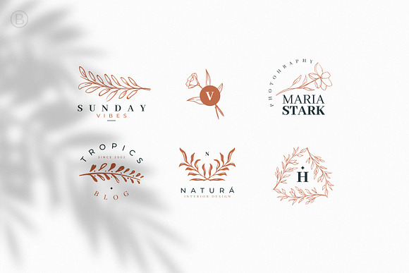 Download 30 Hand Drawn Botanical Logos Creative Illustrator Templates Creative Market