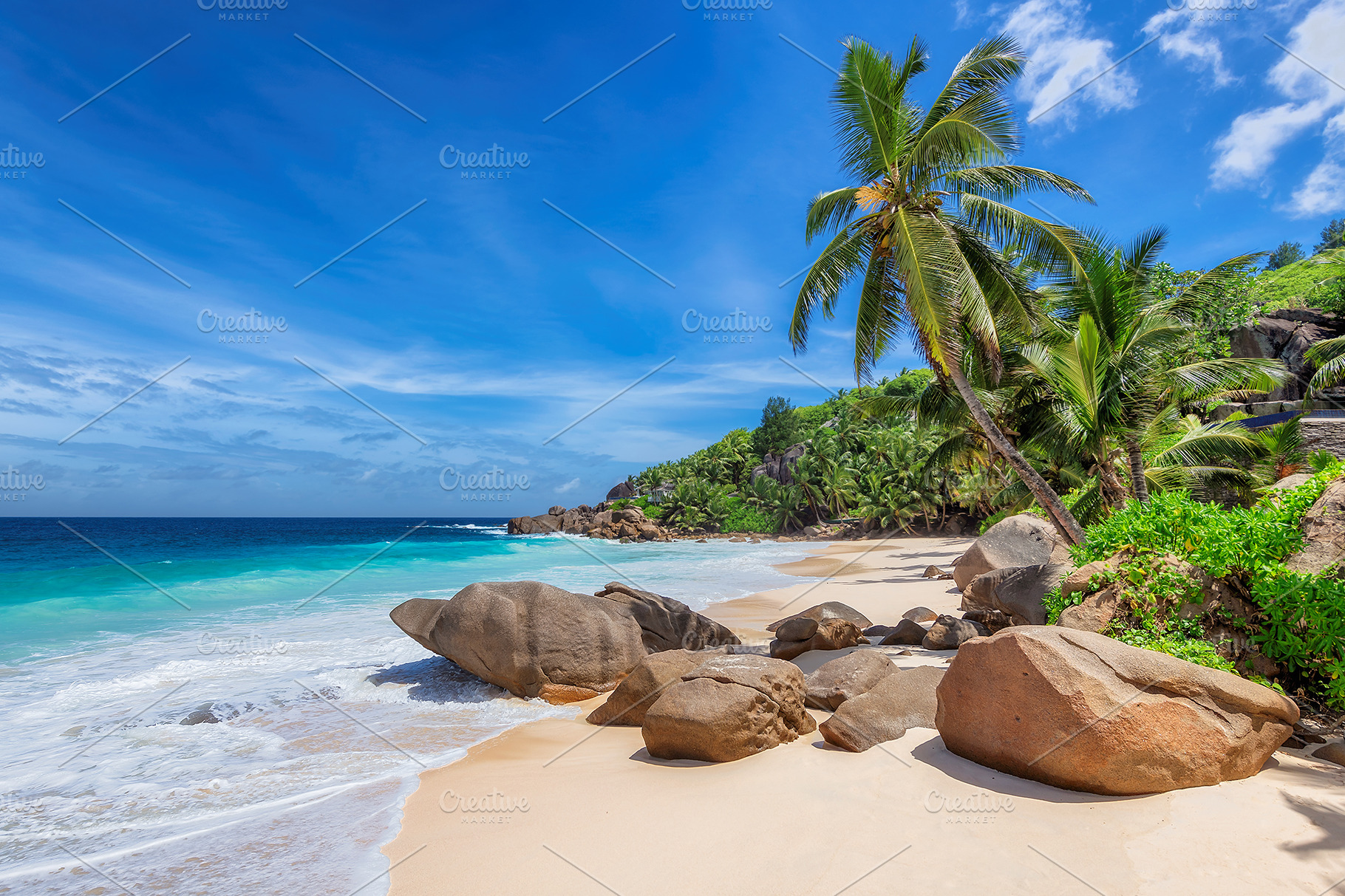 Exotic sunny beach in seychelles containing beach, palm, and vacation ...