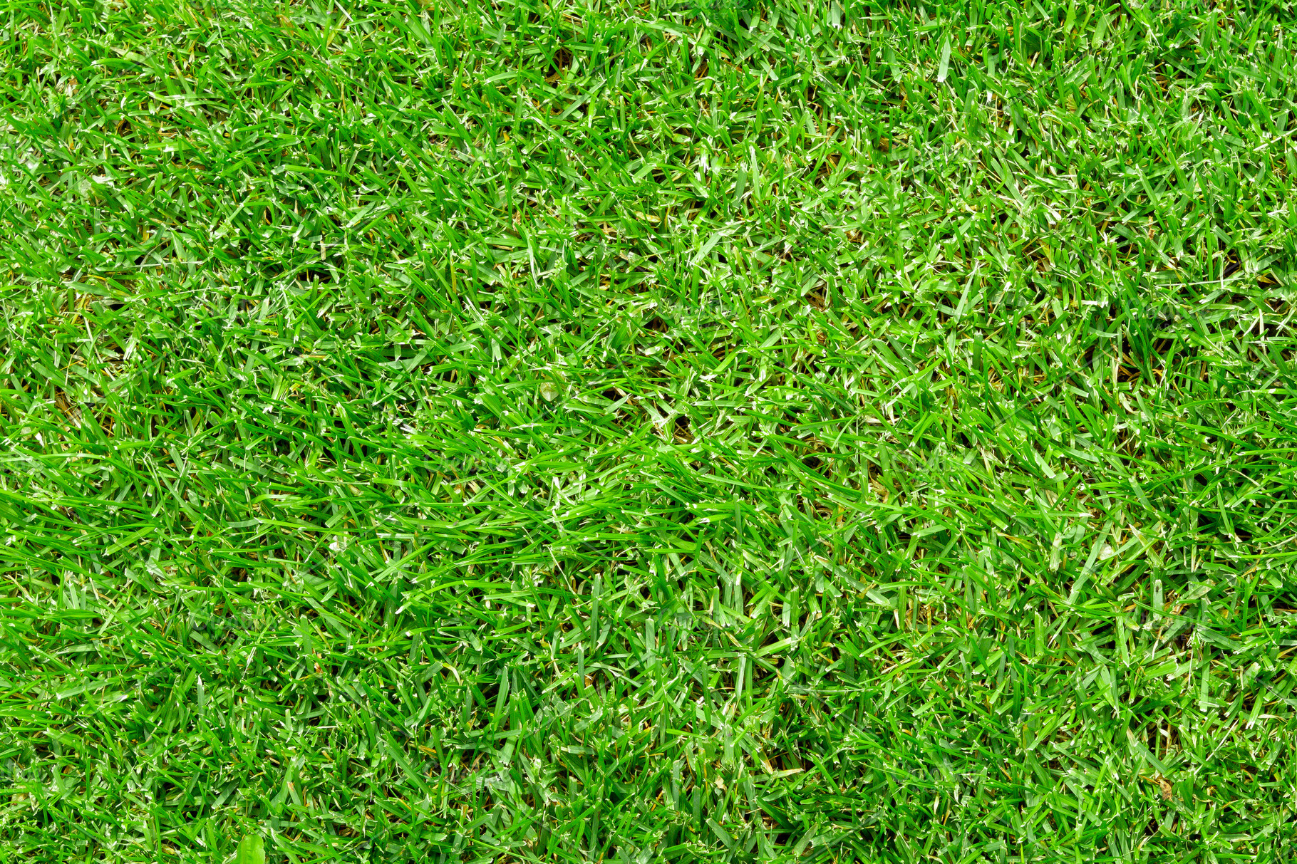 green grass background texture | Nature Stock Photos ~ Creative Market