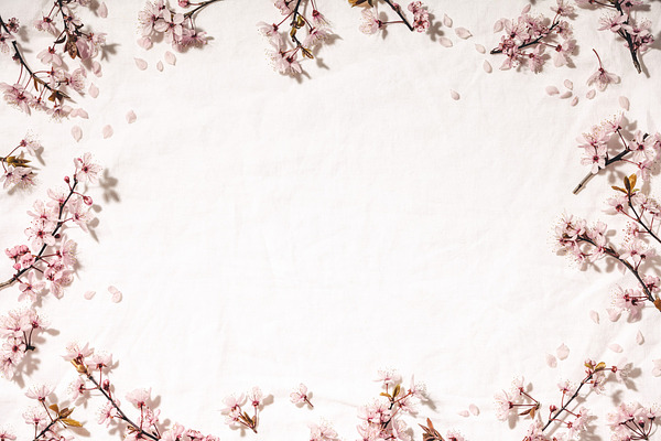 Spring Border With Cherry Blossoms O High Quality Holiday Stock Photos Creative Market