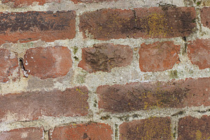 Red Bricks Background High Quality Stock Photos Creative Market