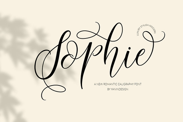 Sophie | Stunning Script Fonts ~ Creative Market