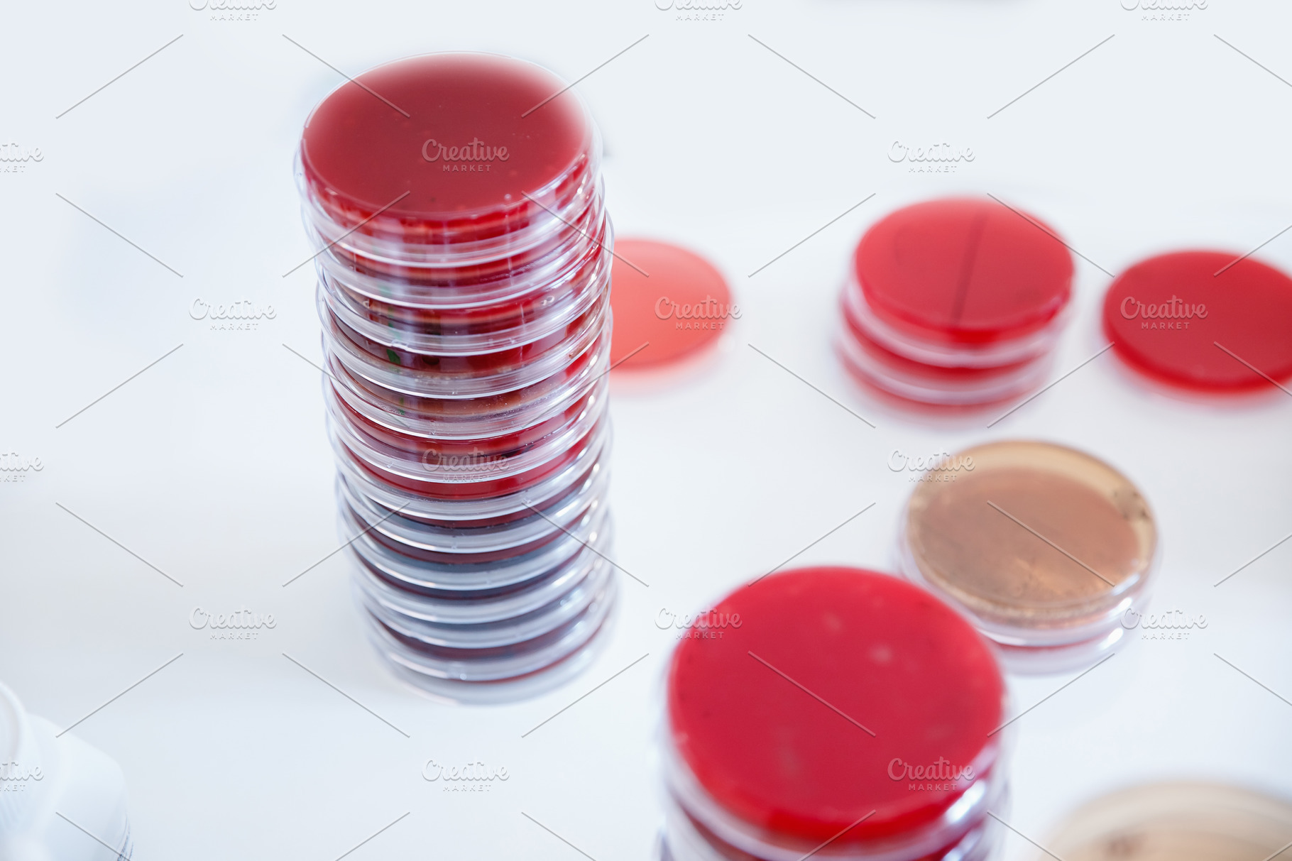 Microbiology laboratory agar plate f | High-Quality Health Stock Photos