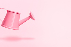 Creative concept made with paint brush and pastel pink background. Minimal  flat lay. Stock Photo by zamurovic