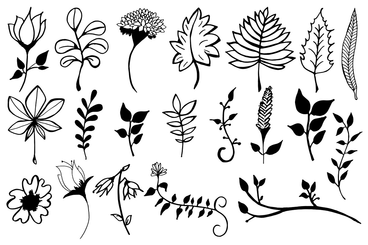 60+ Floral Leaves Clipart Ver. 2 | Pre-Designed Photoshop Graphics