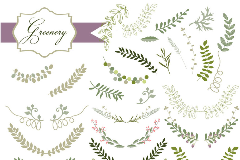 Laurel Leaves | Custom-Designed Graphics ~ Creative Market