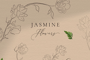 Free Free Jasmine Flower Svg 870 SVG PNG EPS DXF File