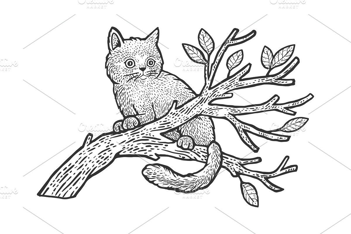 kitten sits on a tree sketch vector PreDesigned Vector Graphics