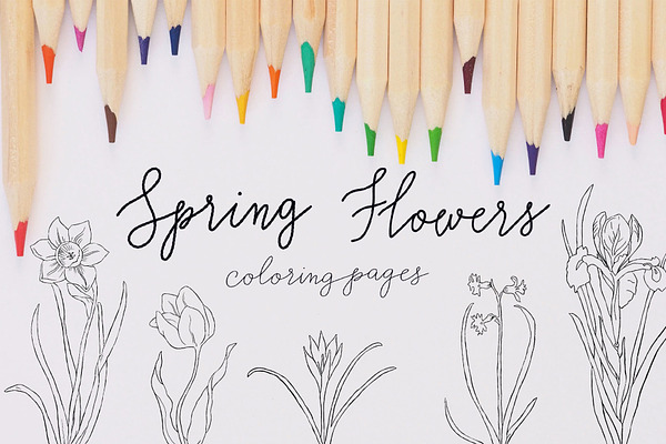 spring flowers  coloring pages  predesigned photoshop