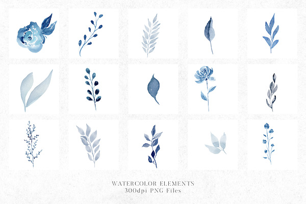 Bonnie Blue - Botanical Clipart | Pre-Designed Photoshop Graphics ...