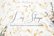 20 Golden floral leaf stamps - PNG | Graphic Objects ~ Creative Market