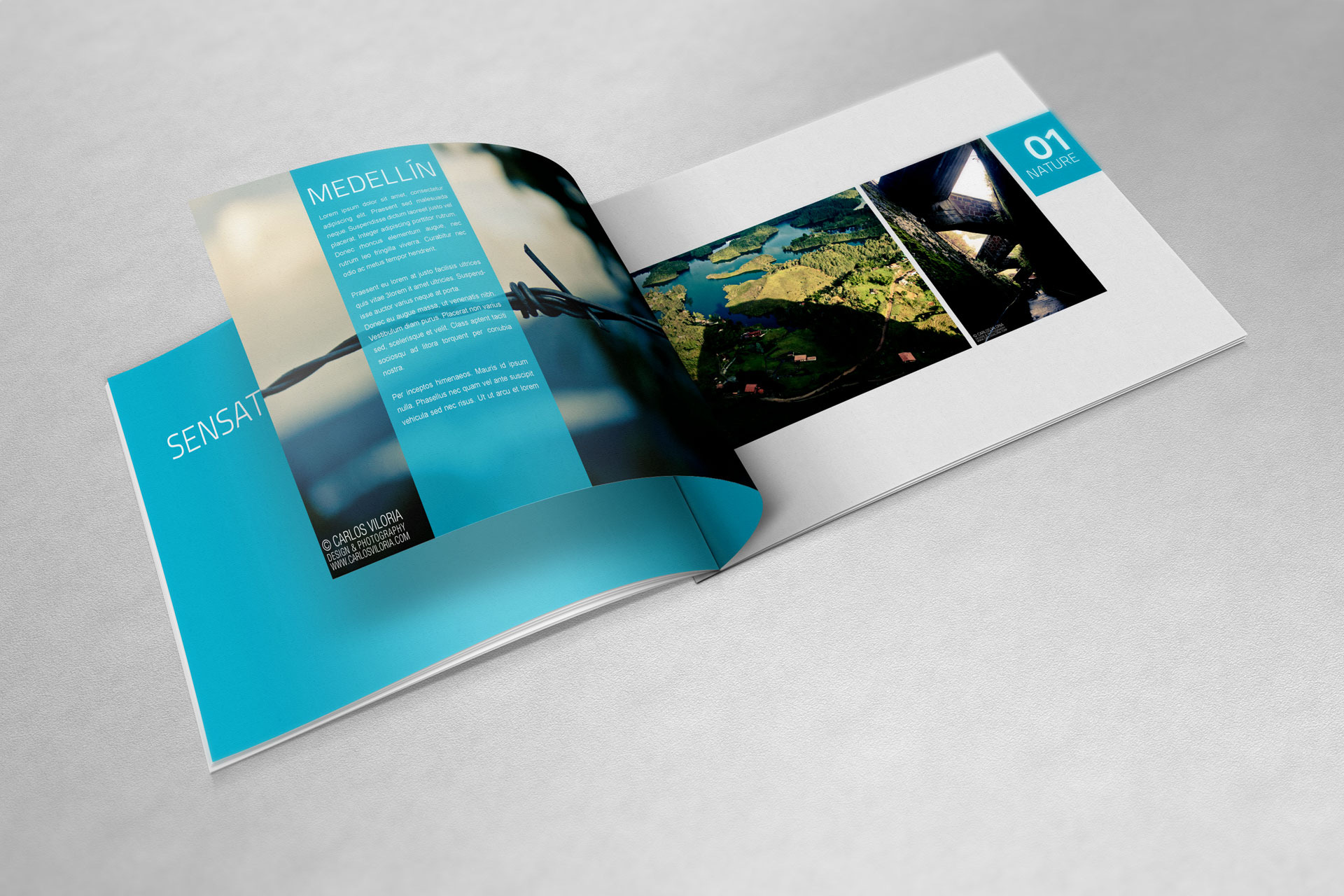 A4 Landscape Book Mockups Product Mockups Creative Market