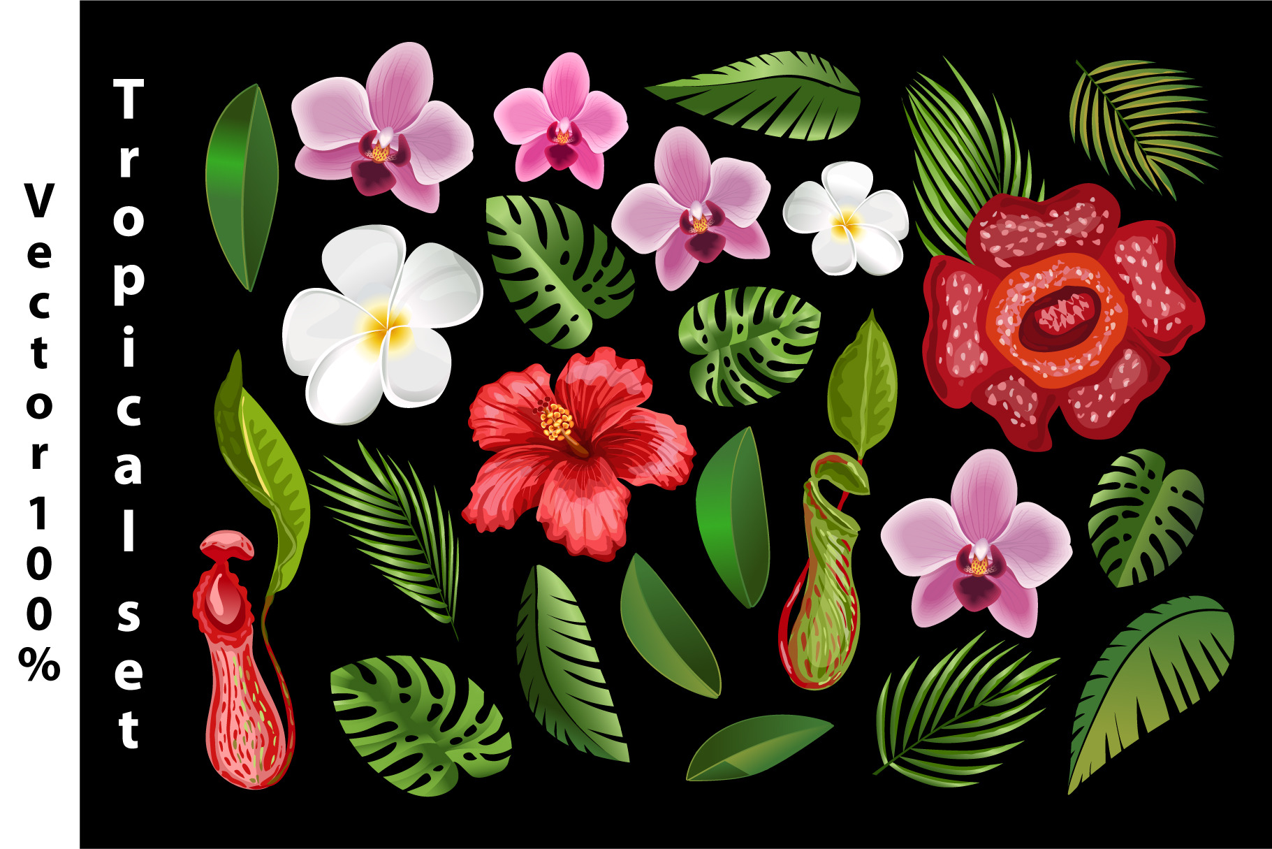 Free Free 293 Tropical Flower Leaves Svg SVG PNG EPS DXF File