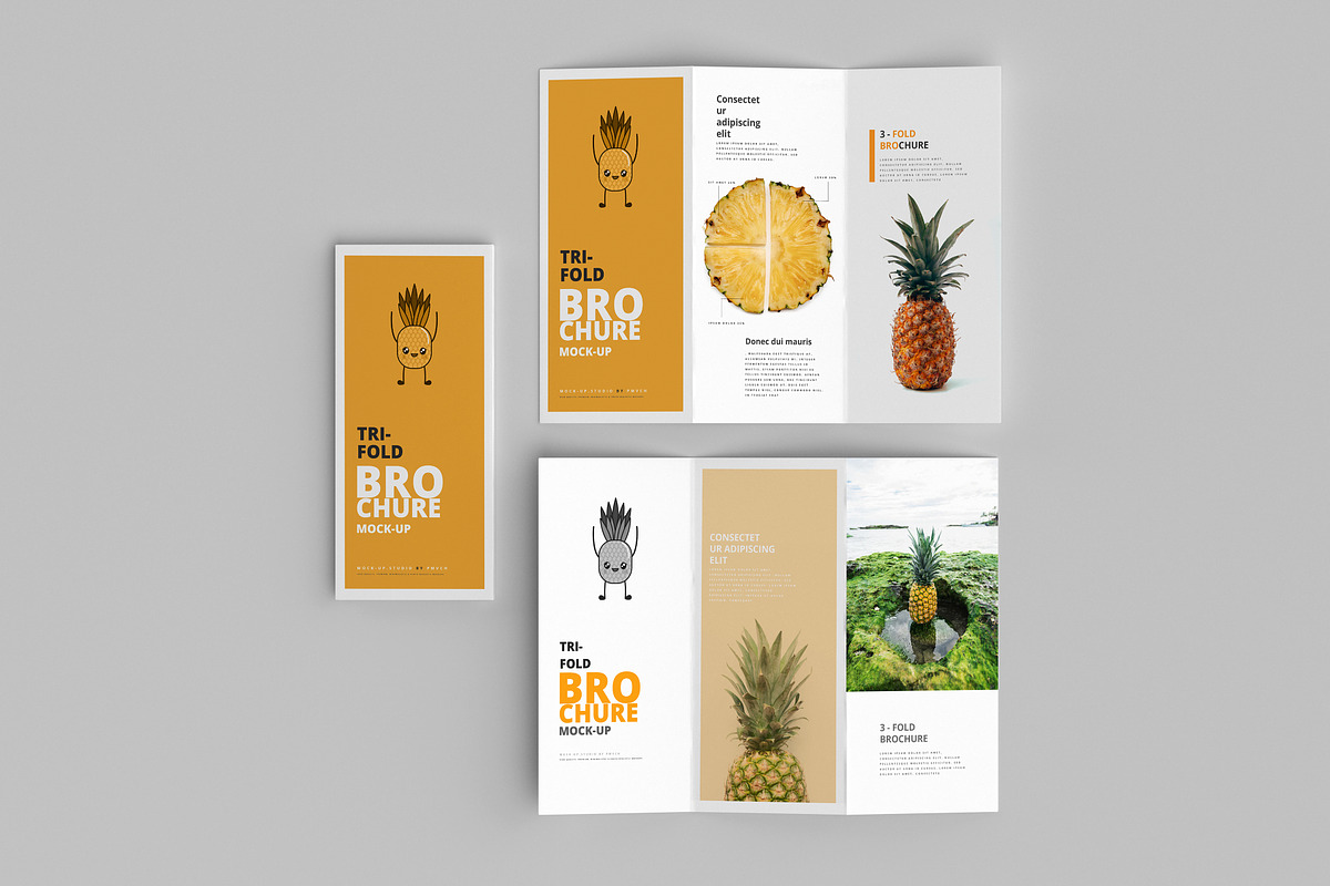 Download 165 Brochure Mockups Big Bundle | Creative Photoshop ...