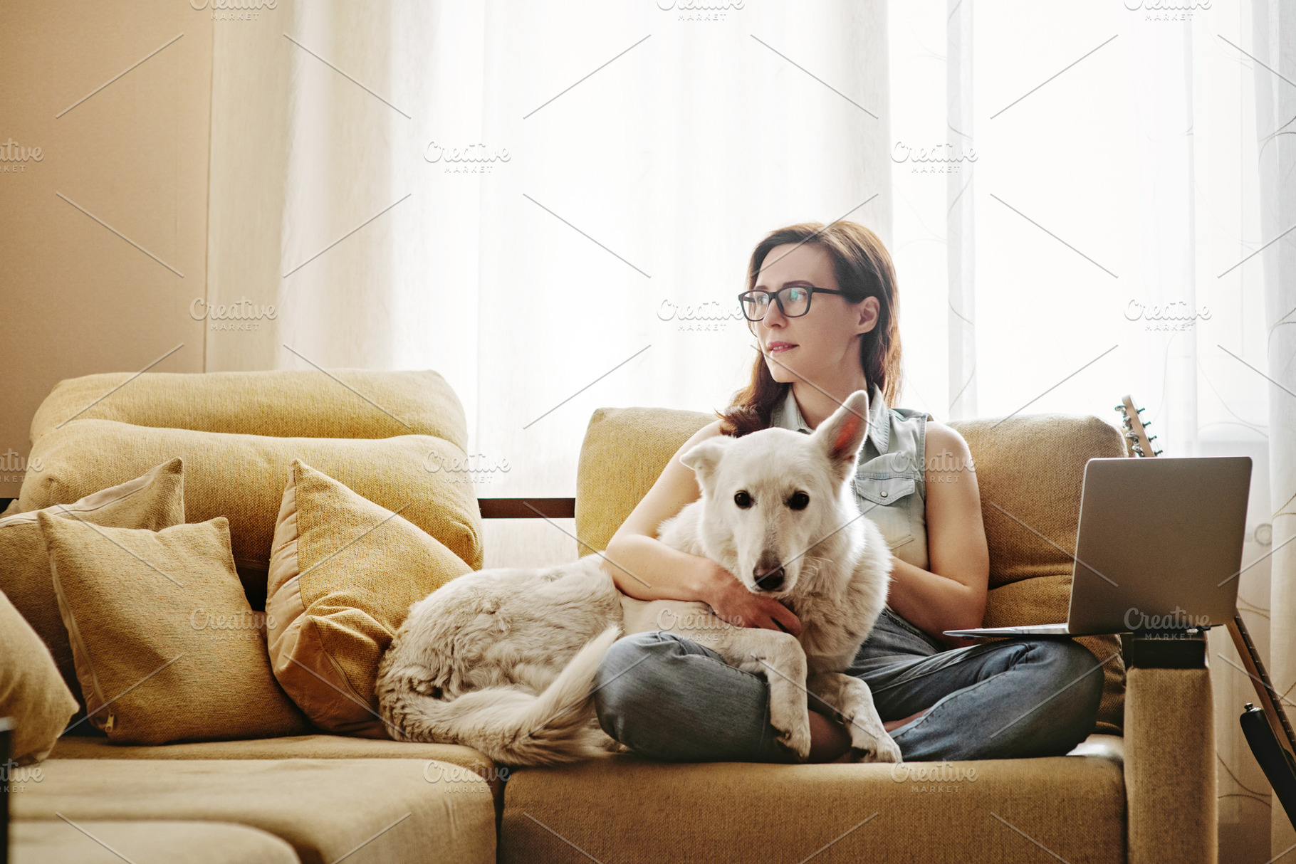 Young woman sitting on sofa with dog HighQuality Animal Stock Photos