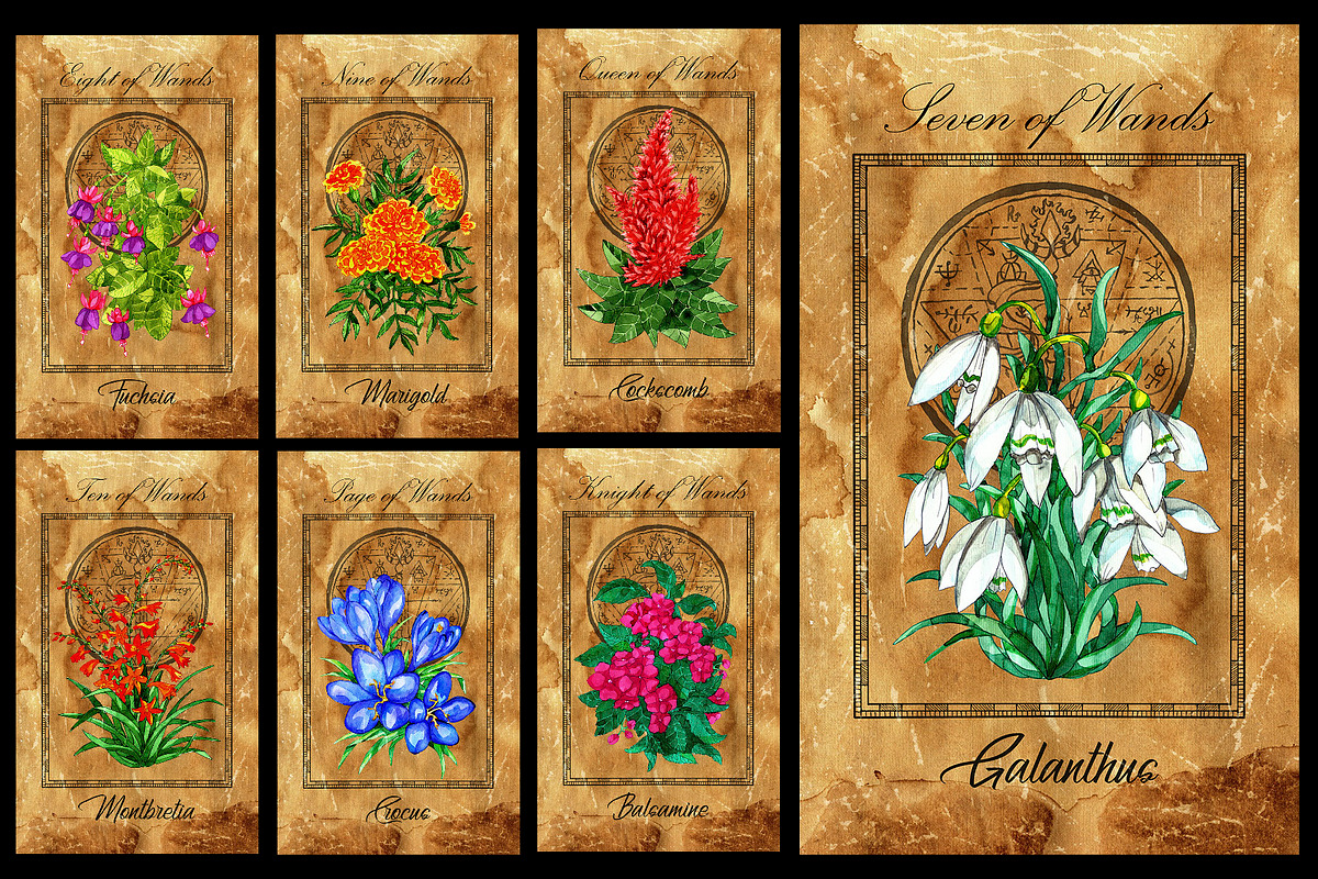 Enchanted flowers tarot deck PreDesigned Graphics