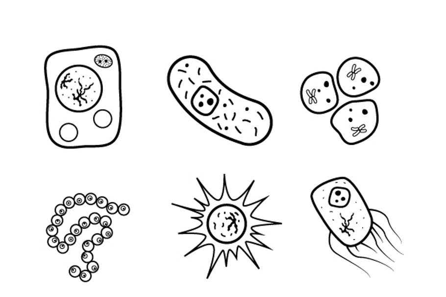 Bacteria and viruses pattern | Pre-Designed Illustrator Graphics ...