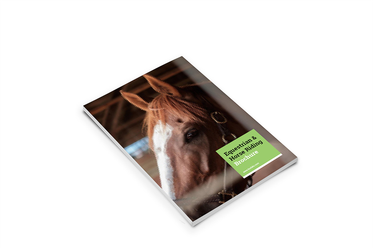 Horse Riding A4 Brochure | Creative InDesign Templates ~ Creative Market