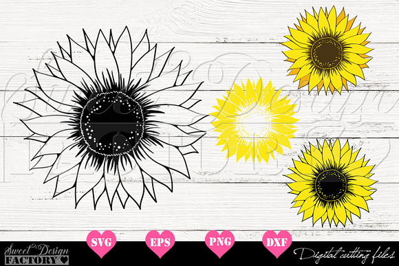 Download Sunflower Svg Pre Designed Photoshop Graphics Creative Market