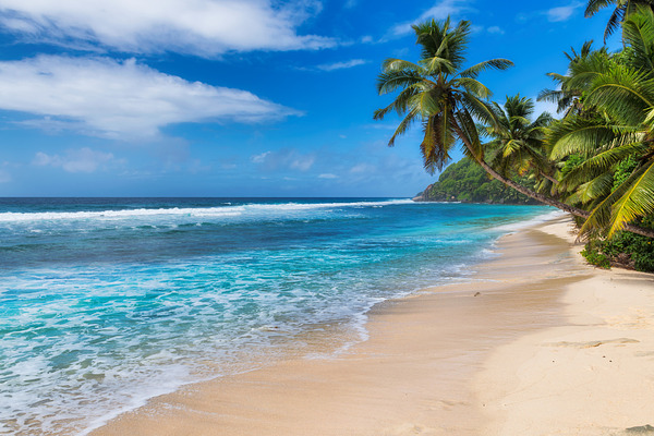 Tropical Paradise Beach High Quality Nature Stock Photos Creative Market