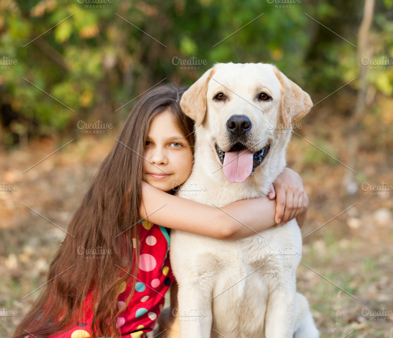 A beautiful girl and labrador retriever featuring labrador, girl, and