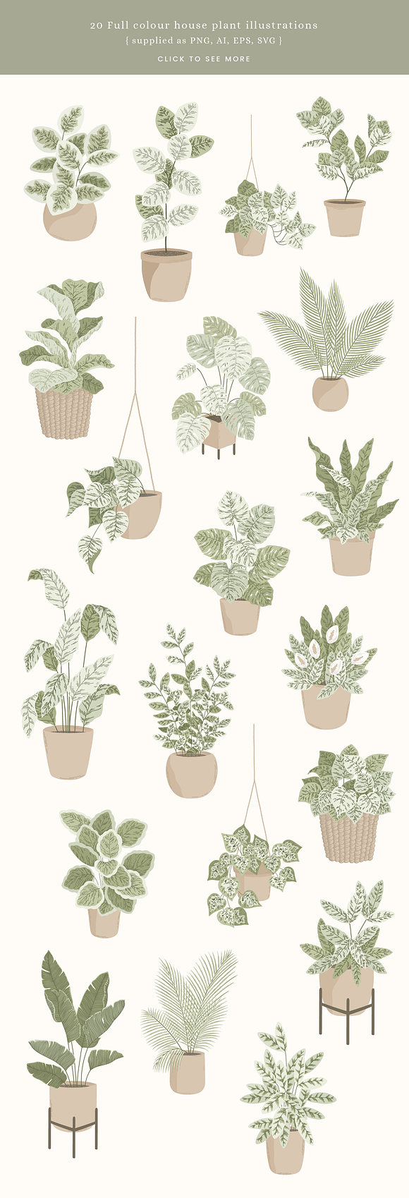 Download House Plants Vector Illustrations Pre Designed Illustrator Graphics Creative Market