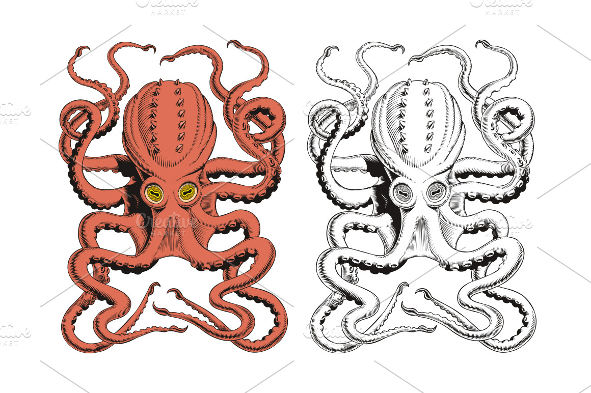 Octopus Or Kraken Engraving Vector Pre Designed Illustrator Graphics Creative Market