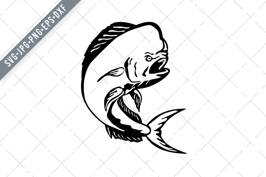 Download Angry Mahi Mahi Dorado Svg Pre Designed Illustrator Graphics Creative Market