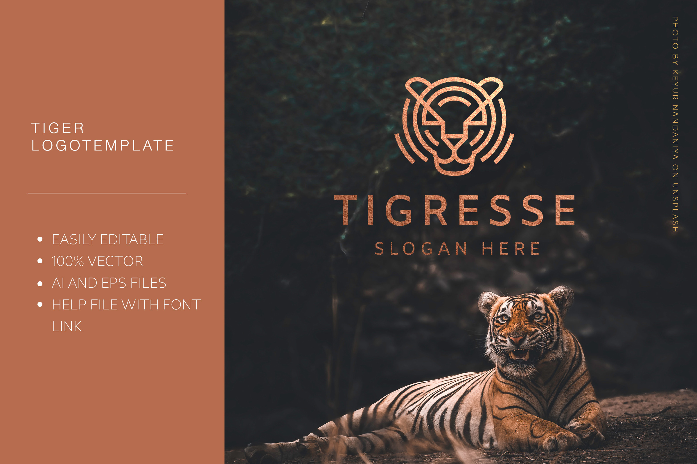 Tigresse Logo Template Creative Illustrator Templates Creative Market