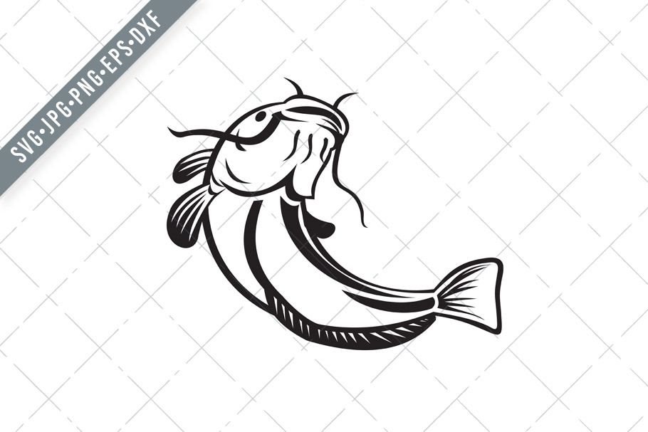 Download European Catfish Or Wels Catfish Svg Pre Designed Illustrator Graphics Creative Market