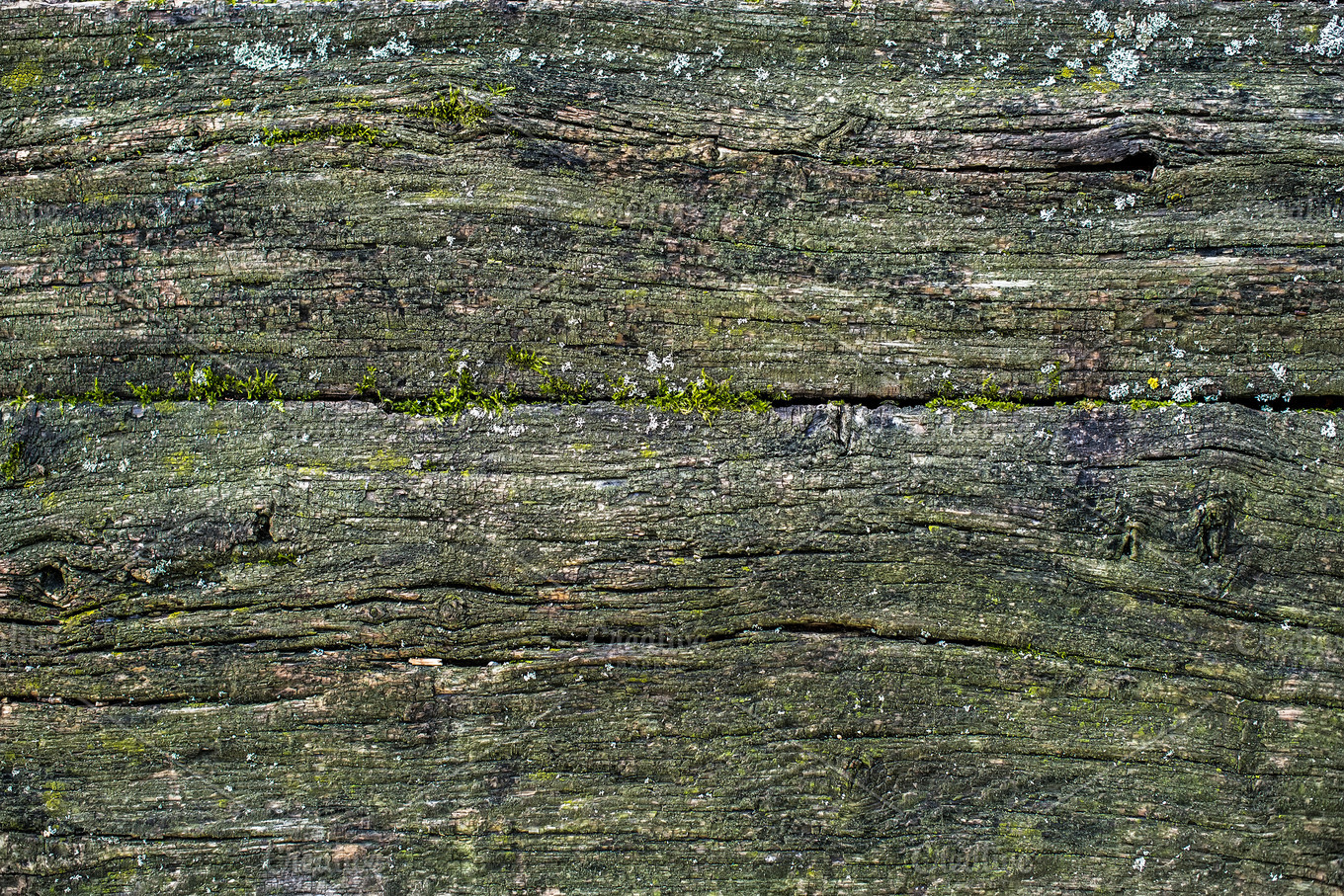 Old Mossy Wooden Texture | Nature Stock Photos ~ Creative Market