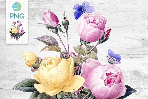 Rose Bouquet Flowers Clipart Vintage Pre Designed Photoshop Graphics Creative Market