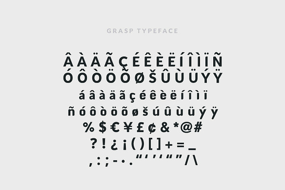 Grasp Typeface Stunning Sans Serif Fonts Creative Market