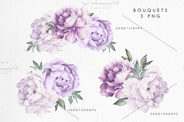 Watercolor flowers, Peonies | Pre-Designed Photoshop Graphics ...