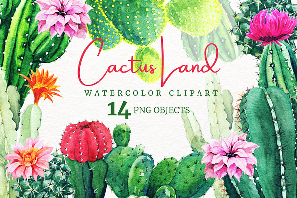 Download Botanical Watercolor Clipart Cacti Pre Designed Photoshop Graphics Creative Market