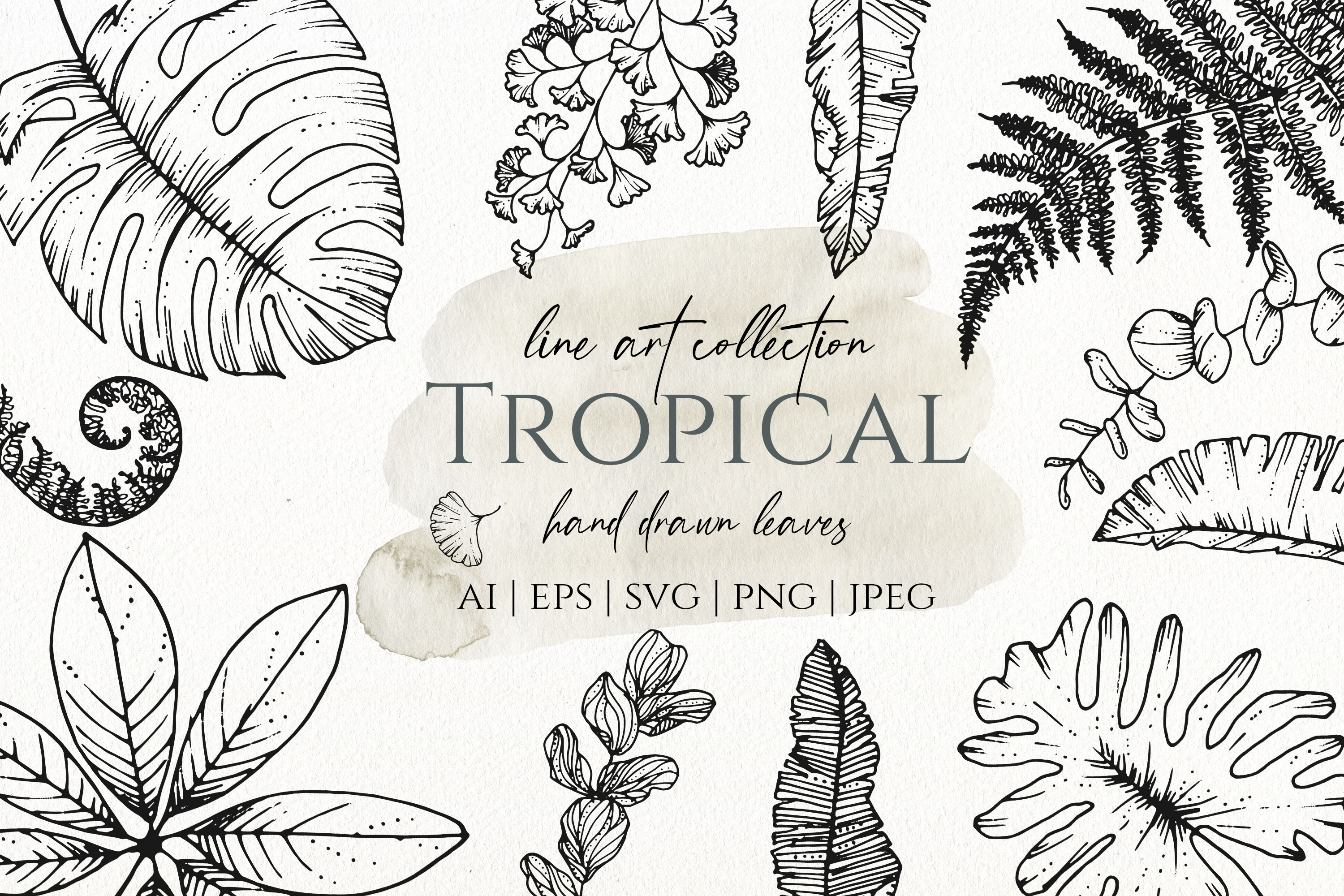 Download Tropical Leaves Ink Illustration Pre Designed Photoshop Graphics Creative Market