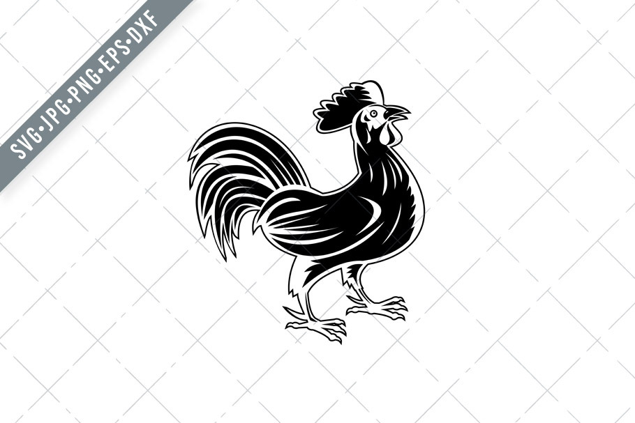 Download Rooster Or Cockerel Svg Pre Designed Illustrator Graphics Creative Market